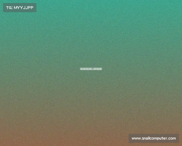 成都新华电子竞技,四川新华电竞